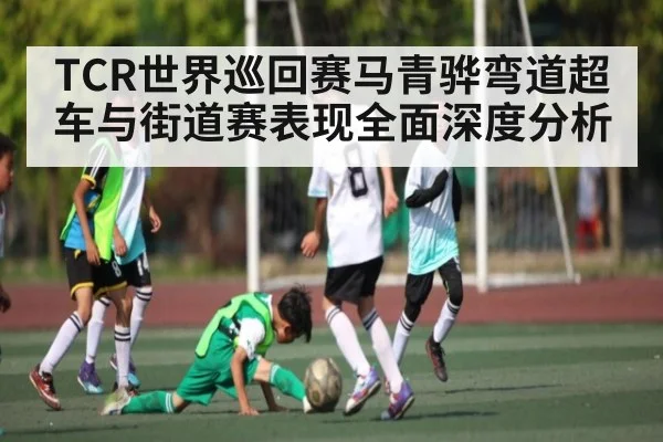 TCR世界巡回赛马青骅弯道超车与街道赛表现全面深度分析（kaiyun.com）